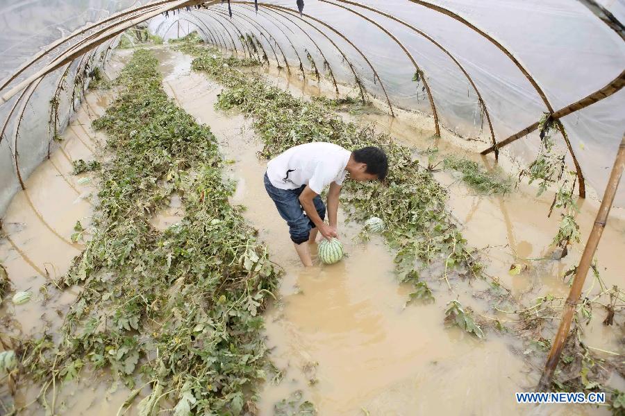 Из-за ливневых дождей пострадали провинции Цзянси, Хунань, Гуанси- Чжуанский автономный район и другие районы Китая