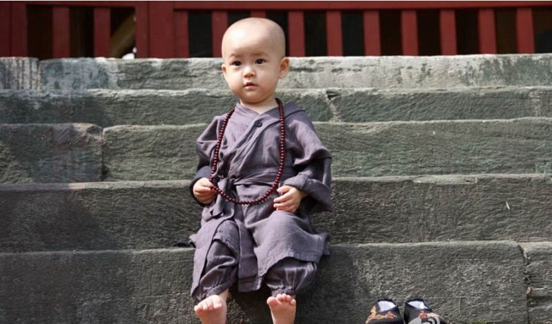 Новый маленький "монах" покоряет китайский интернет!