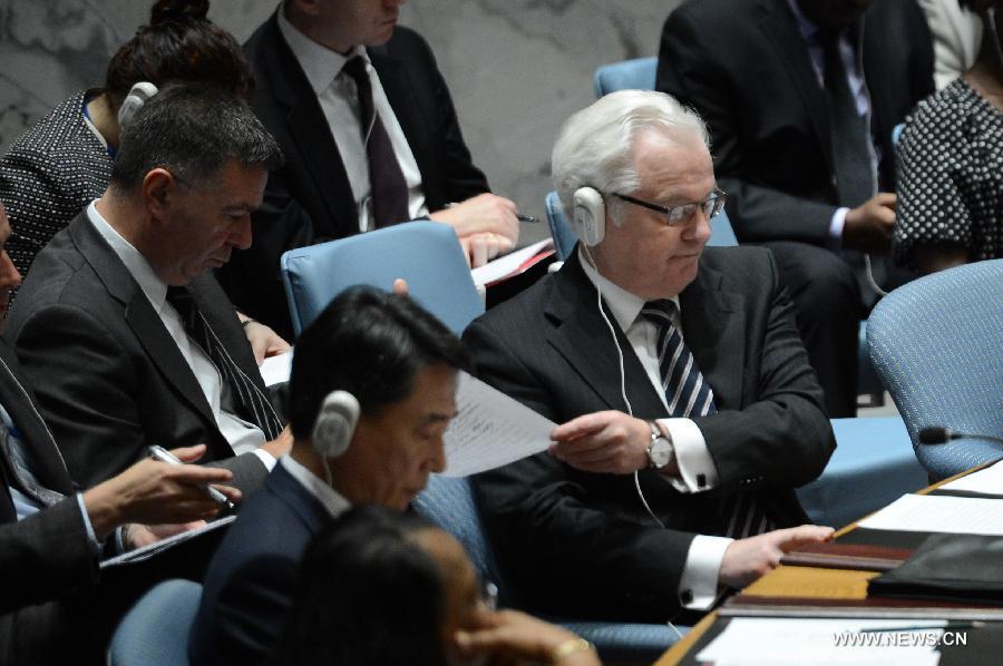СБ ООН призвал провести всестороннее и независимое международное расследование крушения самолета "Малайзийских авиалиний"