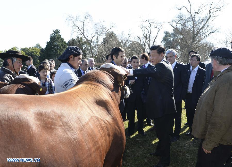 Си Цзиньпин посетил аргентинское поместье
