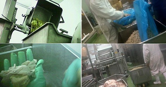 Поставщик сырья для шанхайских ресторанов KFC и «Макдональдс» был замечен в использовании просроченного мяса