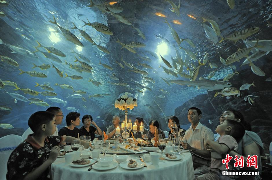 Наслаждаться вкусной едой в подводном туннеле в городе Тяньцзинь