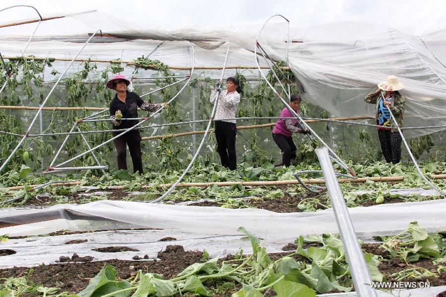  От тайфуна "Калмэджи" пострадали 721,1 тыс жителей Гуанси-Чжуанского автономного района