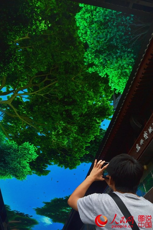 «Монитор на потолке» в Сиане потряс туристов