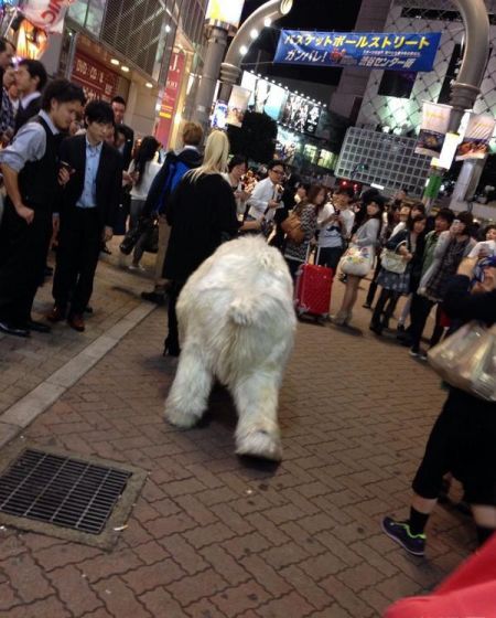 На улицах Токио блондинка выгуливала медведя