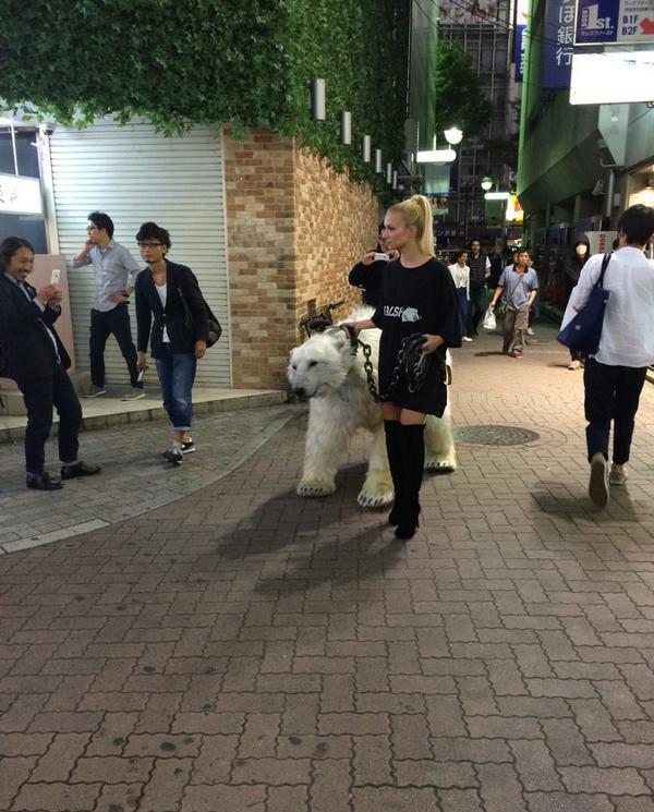 На улицах Токио блондинка выгуливала медведя