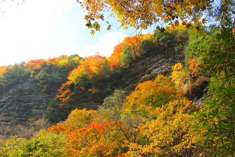 Осень в пейзажной зоне Липин в Ханьчжун провинции Шэньси