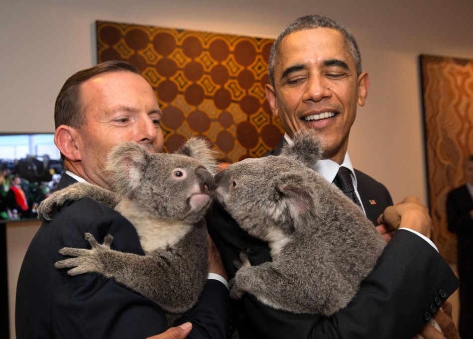 15 ноября 2014 года Саммит G20 состоялся в городе Брисбен (Австралия), президент США Обама и премьер-министр Австралии Абботт подержали коал на руках.