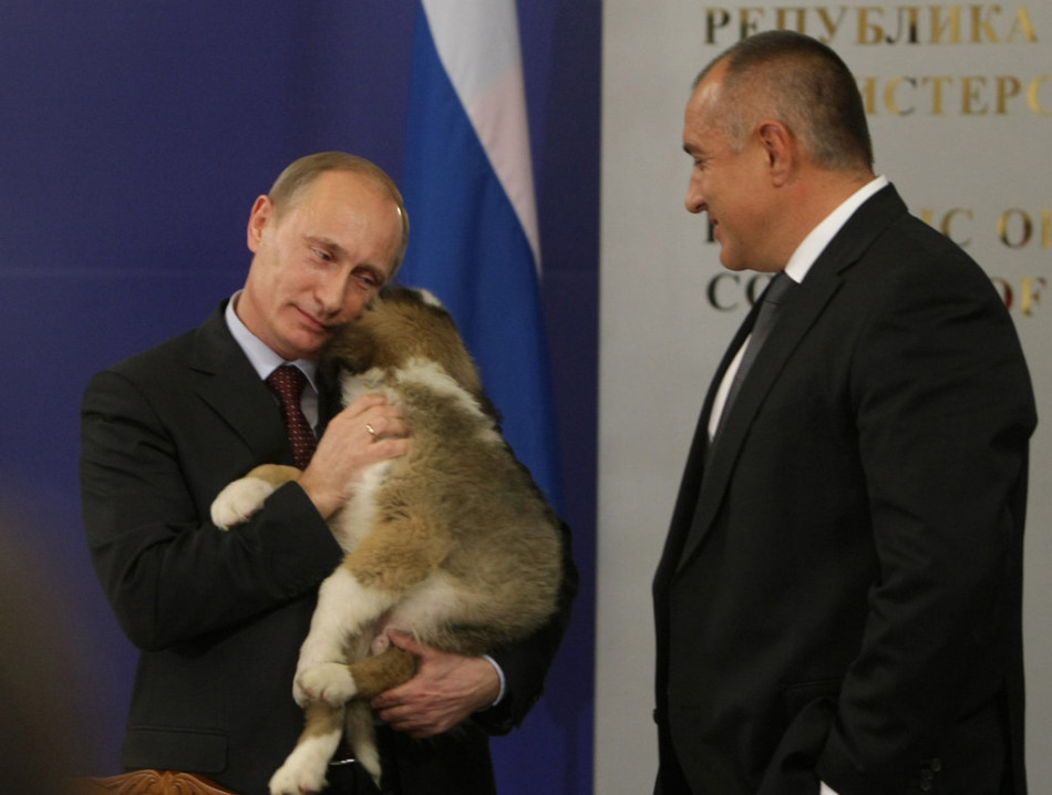 13 ноября 2010 года в городе София, во время визита тогдашнего премьер-министра России Владимира Путина в Болгарию, премьер Болгарии подарил ему собаку.