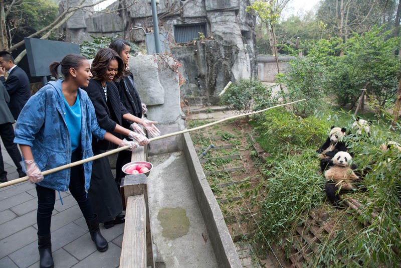 26 марта 2014 года в городе Чэнду супруга президента США во время своего визита побывала на территории Исследовательской базы гигантских панд.