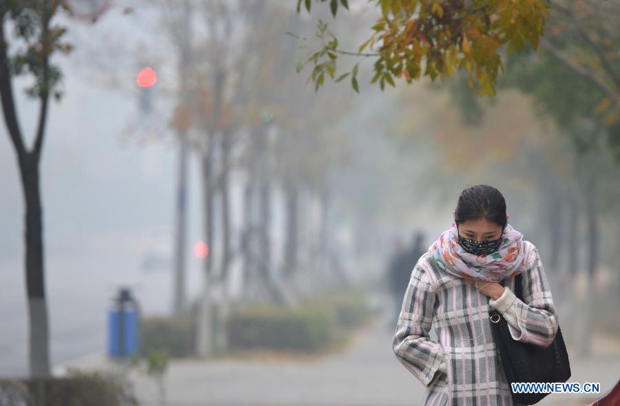 Сильный туман и смог затруднили транспортное сообщение в Северо-Восточном Китае