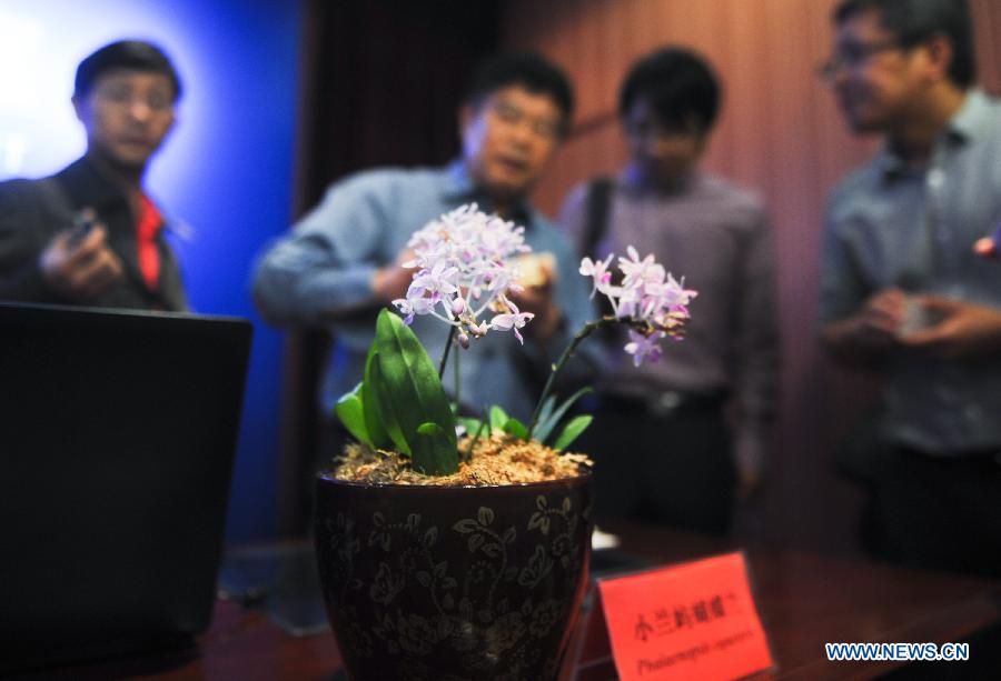Китайские ученые впервые в мире определили последовательность генов орхидеи