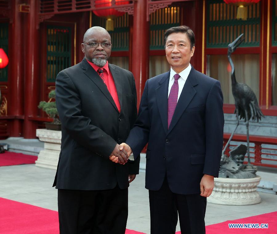 Ли Юаньчао встретился с делегацией Африканского национального конгресса ЮАР