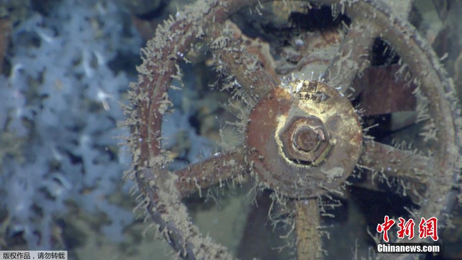 На дне Филиппинского моря обнаружили обломки судна, предположительно японского линкора «Мусаси»