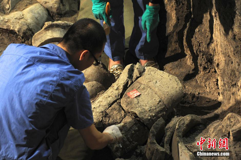 Стартовали раскопки второй ямы мавзолея Цинь Шихуана