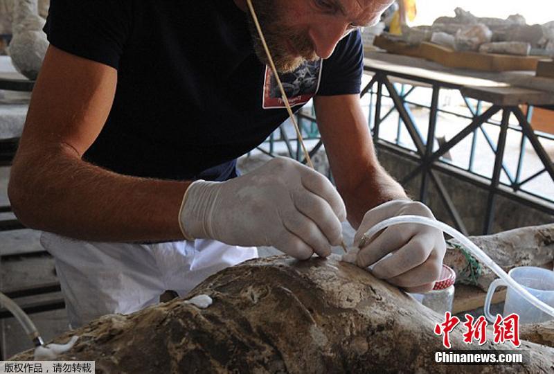 Начались восстановительные работы над останками жертв извержения Везувия