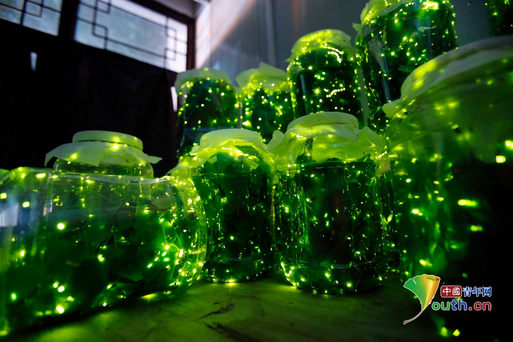 В китайском городе Ухань открылся «Парк светлячков»