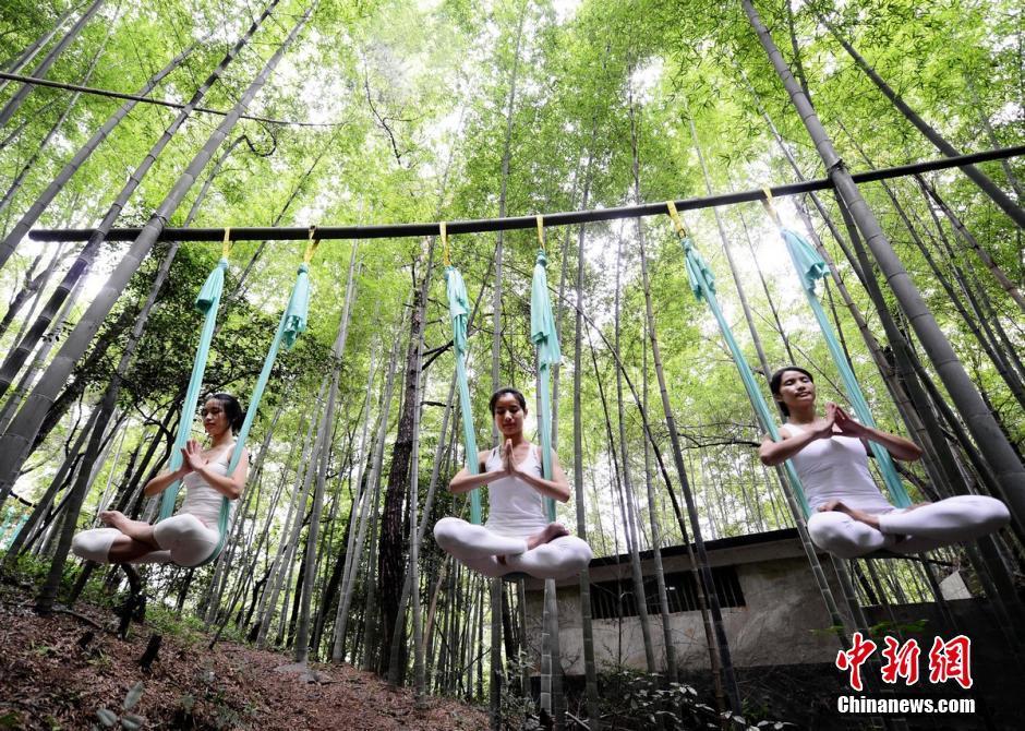 Воздушная йога в лесу - здоровый сон на природе