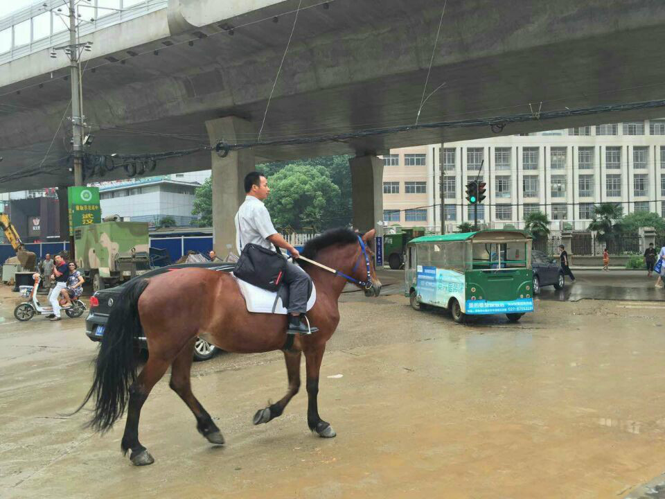 Житель города Ухань ездит на работу верхом на лошади 