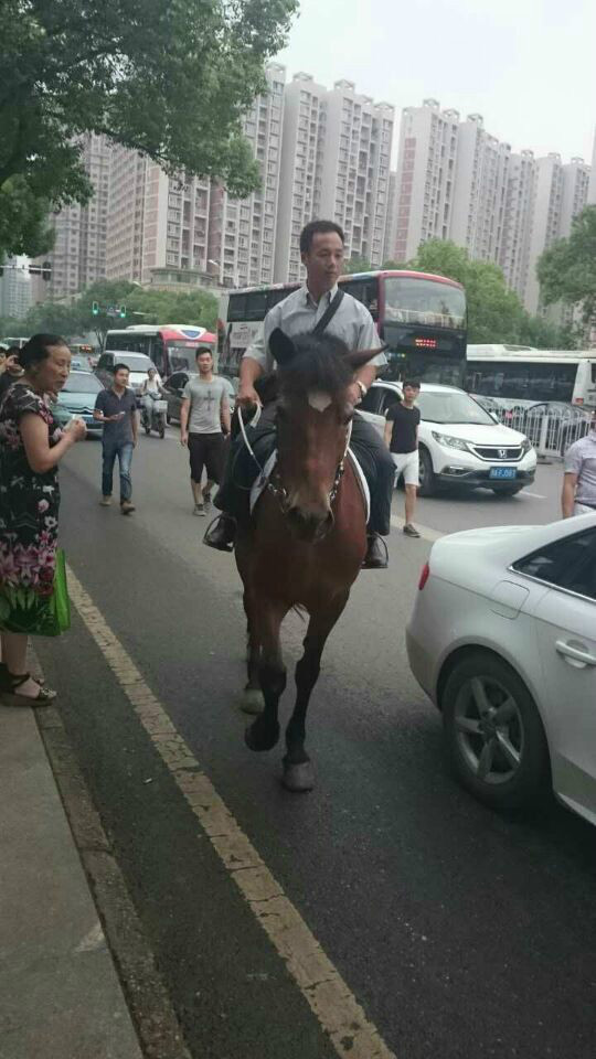Житель города Ухань ездит на работу верхом на лошади 
