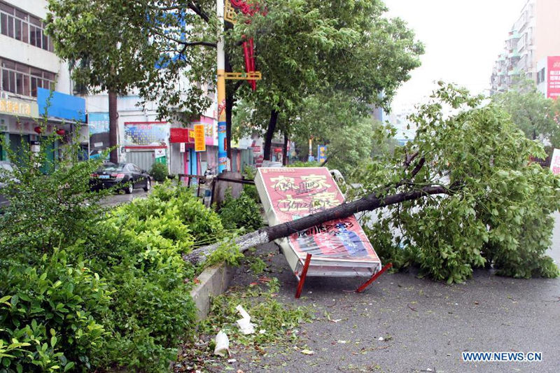 710 тыс. человек пострадали от тайфуна "Линфа" в китайской провинции Гуандун