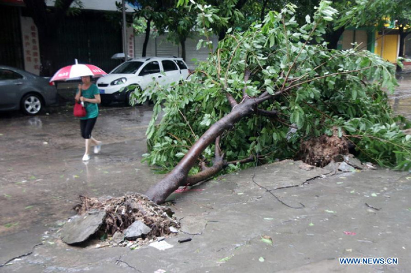 710 тыс. человек пострадали от тайфуна "Линфа" в китайской провинции Гуандун