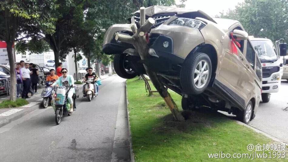 В Нанкине начинающий водитель «загнал» машину на дерево