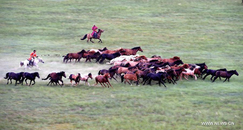 Прекрасные степи Силиньголэского аймака Внутренней Монголии в летний сезон