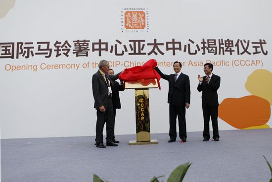 В Китае открылся Азиатско-Тихоокеанский офис Международного центра картофеля