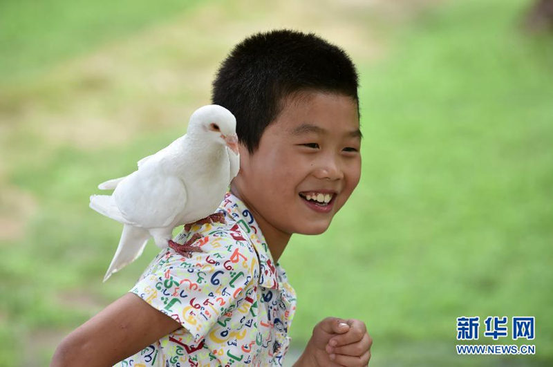 Как дети проводят летние каникулы в Китае?