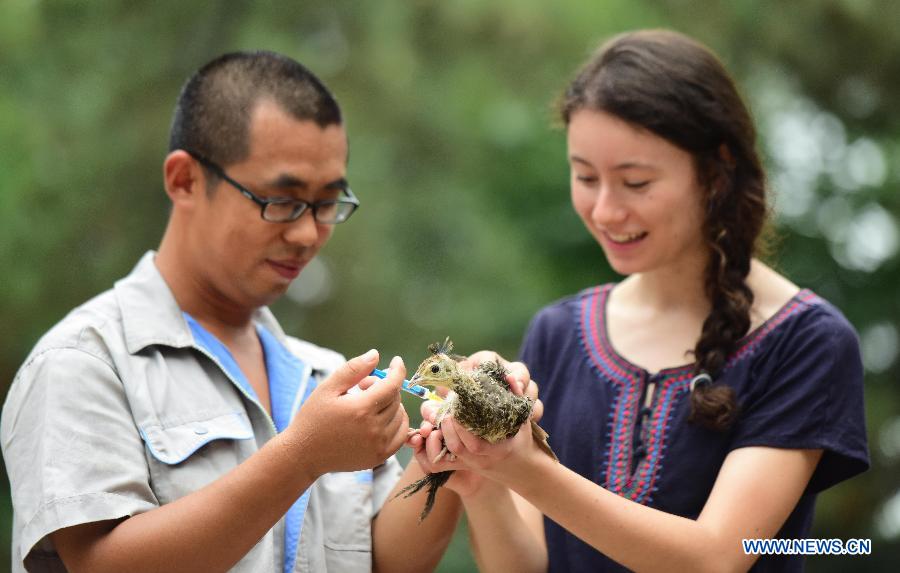Американская девушка занимается волонтерской работой в зоопарке в Китае