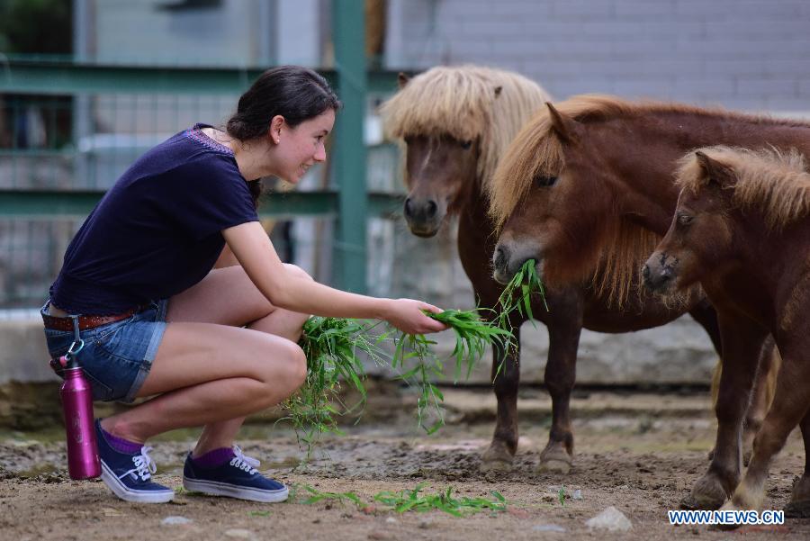 Американская девушка занимается волонтерской работой в зоопарке в Китае