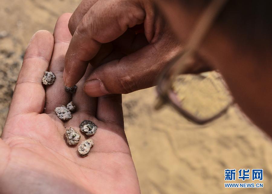 В Или-Казахском автономном округе в Синьцзяне обнаружили самые древние следы использования угля