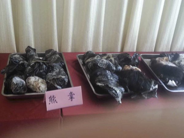 Полицейские Пекина изъяли около тонны контрабандной слоновой кости