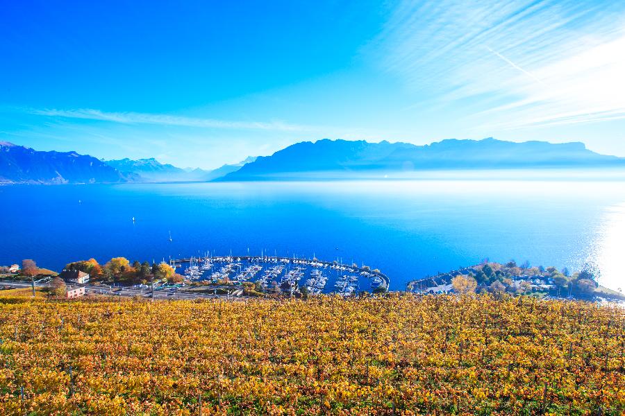 Террасные виноградники Лаво, Швейцария