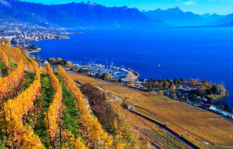 Террасные виноградники Лаво, Швейцария