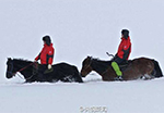 14 дней снегопада в Синьцзянском городе Алтай: сани с лошадьми превратились в "подснежные лодки"