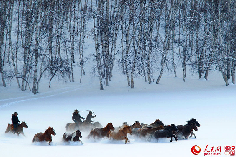 Кони мчатся по снежным степям
