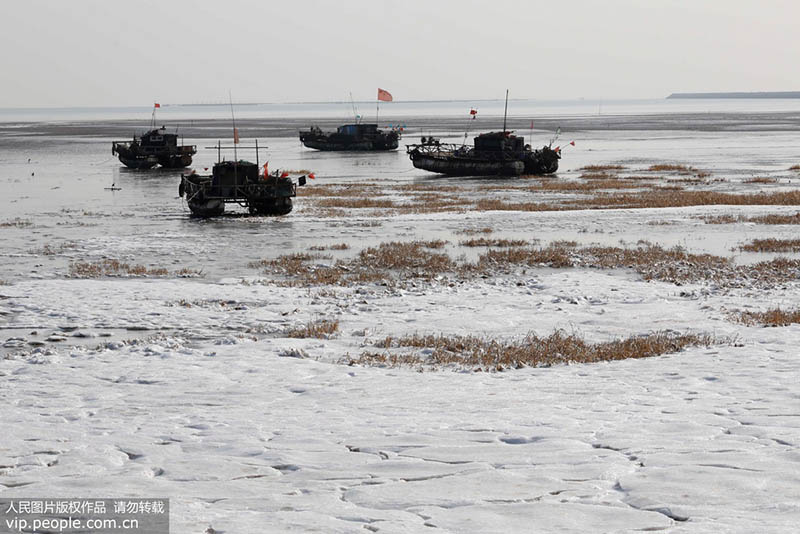 Бухта Хайчжоу провинции Цзянсу покрылась льдом