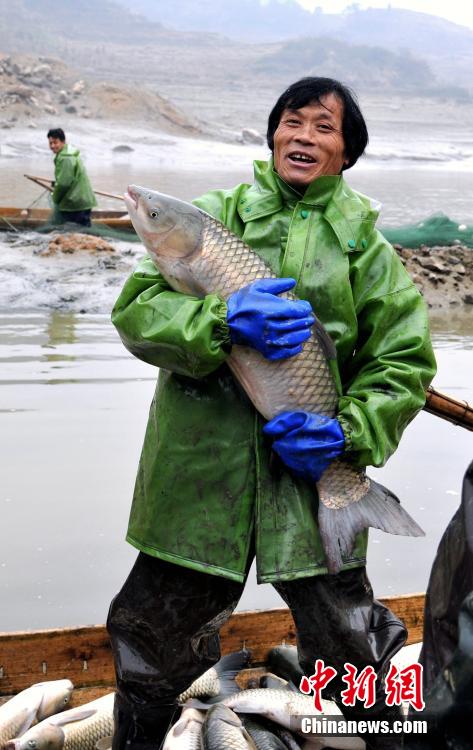 У рыбаков из провинции Цзянси получился богатый улов к празднику Весны 