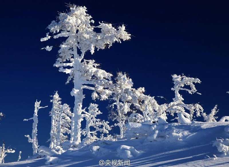 Красивые снимки заснеженных пейзажей Большого Хингана в сорокоградусные морозы