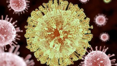 В Китае выявлен первый завезенный случай заражения вирусом Зика
