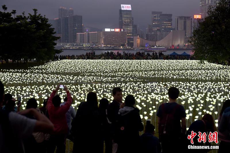 Тысячи лампочек в форме роз зажглись в ночь на 14 февраля в Сянгане