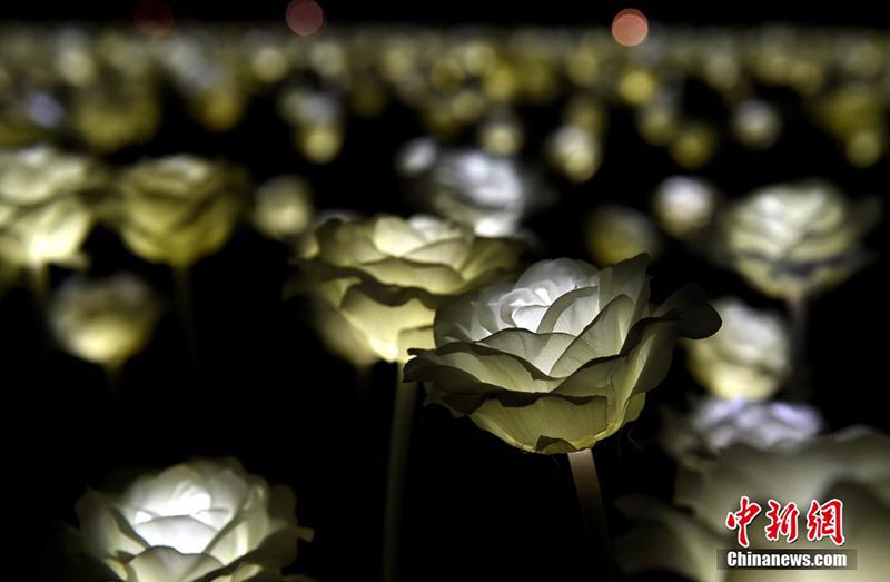 Тысячи лампочек в форме роз зажглись в ночь на 14 февраля в Сянгане