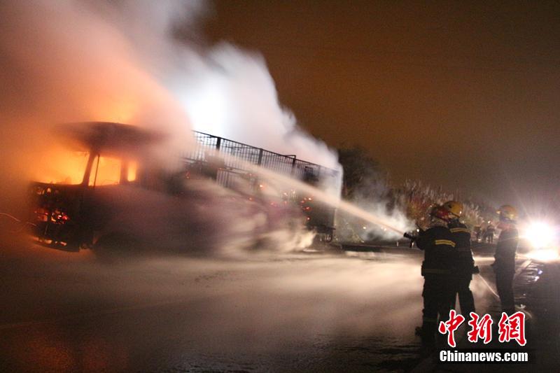 300 коз оказались сожжены заживо в результате возгорания грузовика в провинции Гуанси