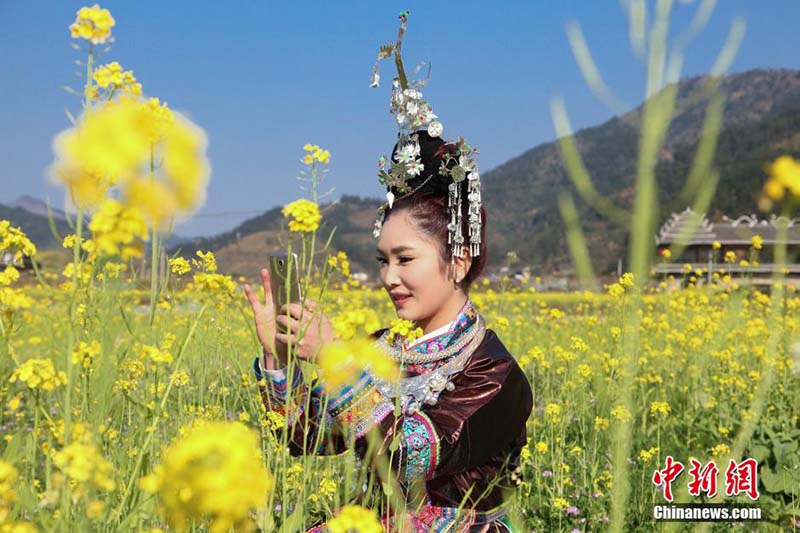 Наступает весна,  девушки народности Дун гуляют в поле