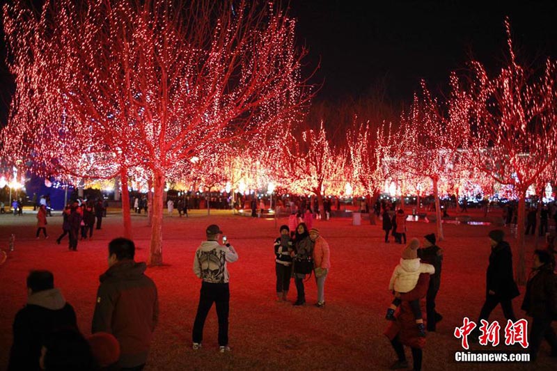 Вечером 21 февраля в древнем городке Янлюцин города Тяньцзинь прошла ежегодная выставка цветных фонарей, которая привлекла множество горожан и туристов как из Китая, так и из-за рубежа.