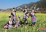 Наступает весна, девушки народности Дун гуляют в поле