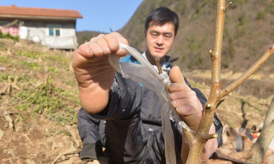 Парень без рук из провинции Хубэй зарабатывает колкой дров ногами