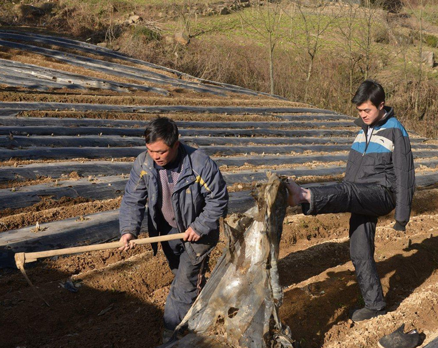 Парень без рук из провинции Хубэй зарабатывает колкой дров ногами